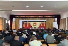 青岛莱西河头店镇：扎实开展村级班子常态化调研，推动农村基层党组织创优建强