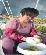 青岛莱西河头店镇：党建统领发展特色产业，打造城市更新新模式