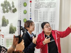 宣化区政务服务云直播 粽享欢乐 有爱无障
