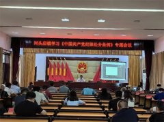 坚定理想信念  严守党纪党规——青岛莱西河头店镇深入开展党纪学习教育