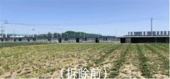 胶州市里岔镇“两违”管控 持续用力 靶向施策，向违建说“不”