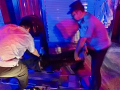 男子醉酒“躺平”城阳棘洪滩派出所民警暖心救助