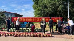 共富之路：强村共富搭平台！南岚西瓜甜蜜上市