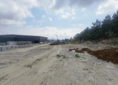 青岛西海岸新区隐珠街道：启动违法图斑整改行动 消除地面压实问题