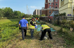 青岛西海岸新区隐珠街道：开展河道巡查 确保汛期安全