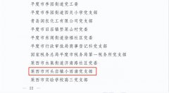 喜报！青岛莱西河头店镇小雨滴党支部获“青岛市先进基层党组织”称号！