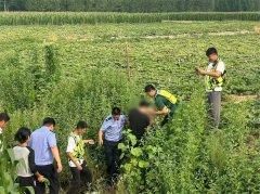 胶州市公安与众人联手，经过12个小时找回七旬老人