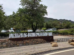 中国人寿青岛市城阳区支公司“青山绿水，共享幸福美好生活”