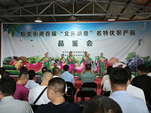 胶州市胶北街道举行“北果飘香”名特优农产品品鉴会