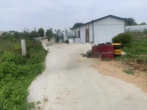 青岛西海岸新区隐珠街道：铁腕治乱 彰显保护耕地决心