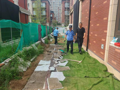 青岛西海岸新区隐珠街道：整治毁绿种菜顽疾 助力人居环境提升