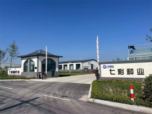 城市更新有进步：青岛莱西河头店镇工业化水产养殖助力乡村振兴