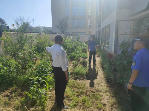 青岛西海岸新区隐珠街道：整治毁绿种菜 打造宜居环境