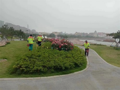 青岛市崂山区： 抓巧施肥，保园林植物健康成长