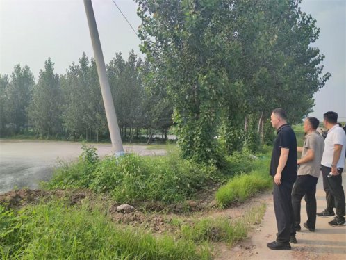 青岛莱西沽河街道：开展农村生活垃圾及粪污整治行动，全力化解“异味”扰民心结