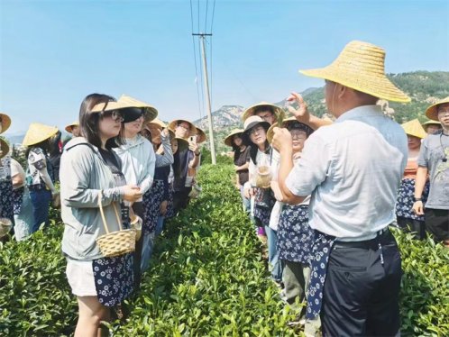 青岛市崂山区开展2024年博士行城市特色体验活动