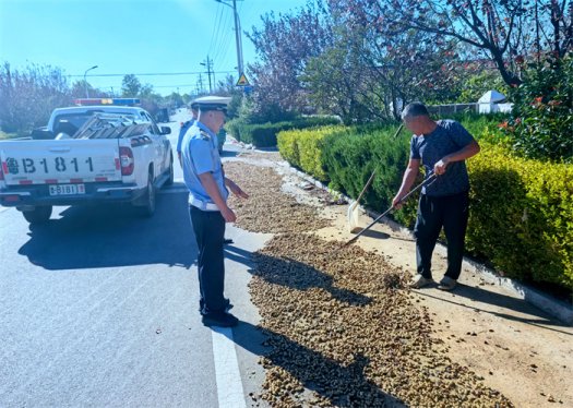 打场晒粮、马路摆摊太危险 黄岛交警亮剑“占道”隐患