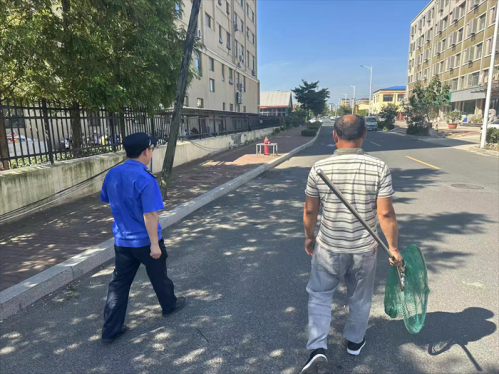 青岛西海岸新区隐珠综合执法中队：开展流浪犬专项整治行动，倡导居民文明养犬