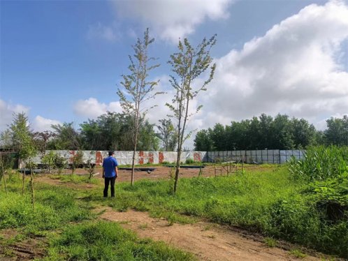 胶州市综合行政执法局：偷建抢建不可取，依法拆除没商量