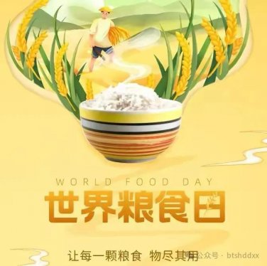 爱粮节粮 不负“食”光—泊头市河东大小学开展“世界粮食日”主题教育活动