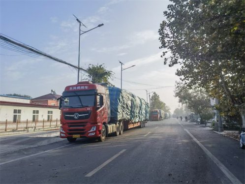 胶州市胶东街道：深入推进整治群众身边的不正之风和腐败问题，营造风清气正营商环境