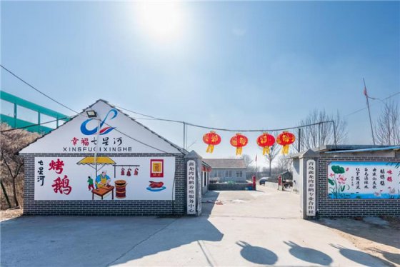 青岛莱西：七星河鹅产业奔大市场