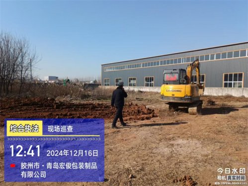 严整改 守红线，胶州市里岔镇全面推进图斑整治工作