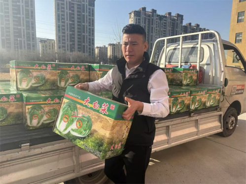  惠农行动温暖人心，青岛泰合医药采购百箱胶州大白菜送员工