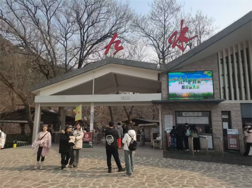“三八”妇女节崂山北九水的温暖善举，帮助小男孩找到妈妈