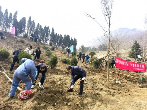 青岛市崂山区：全民共植绿色希望 实干绘就生态新画卷