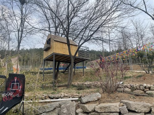 双线出击立体治违建  崂山区开展违法建设治理工作