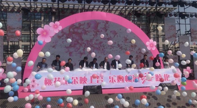 胶州市胶州北街道：胶北桃花季盛启，绘就春日文旅新盛景