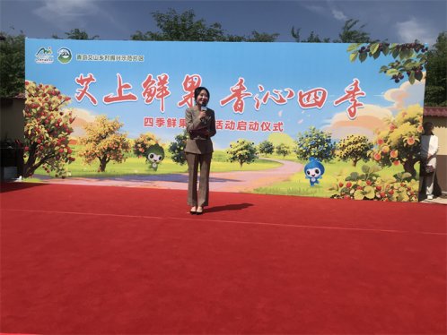 “艾上鲜果  香沁四季” 青岛艾山乡村振兴示范片区四季鲜果采摘活动正式启动