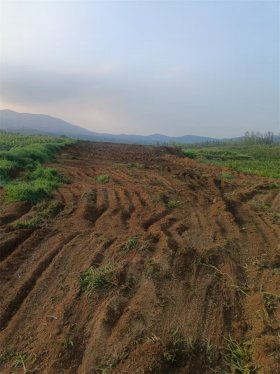 沂水县沙沟镇针对畜禽污染治理“零容忍”