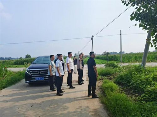 青岛莱西沽河街道：绿色巡河 守护河畅水清