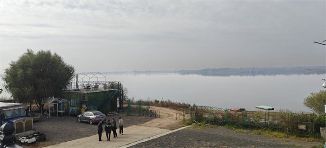 青岛莱西交通发展公司推荐乘901路公交游龙泉湖