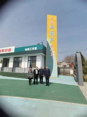 山东五莲县许孟镇：西葫芦之乡的乡村振兴画卷