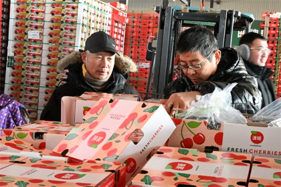 山东即墨：冬日水果市场迎来销售旺季  车厘子热销