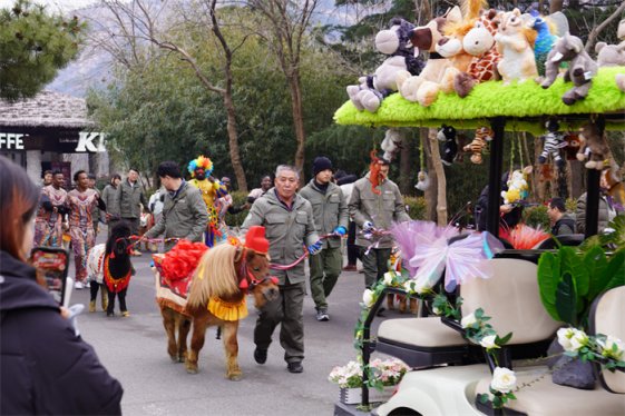 青岛森林野生动物世界解锁马年新春文旅新体验
