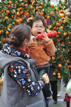 2026糖球会寻人启事