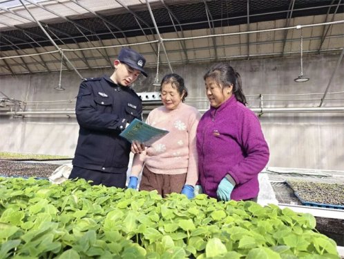 青岛公安守护春节平安 全市社会大局稳定治安秩序良好