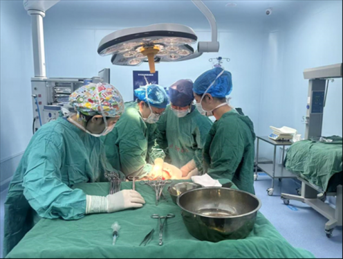 最浓“年味”是坚守——记同济大学附属东方医院胶州医院并肩作战、温暖守护的绿衣军团