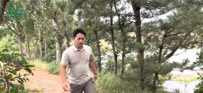 青春扎根乡土 实干振兴家乡——五莲县95后村支书苏小栋绘就乡村振兴新画卷